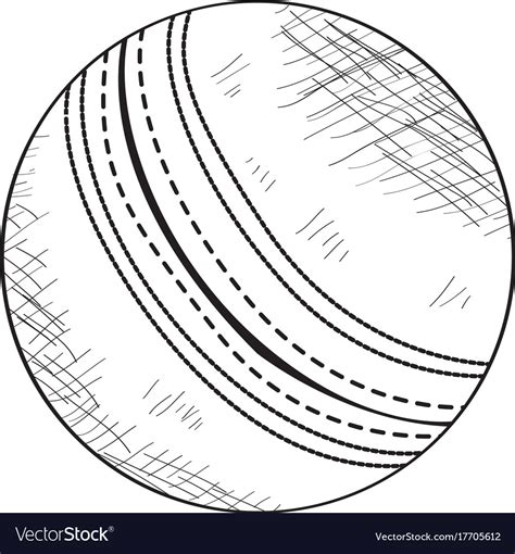 Sketch of a cricket ball Royalty Free Vector Image