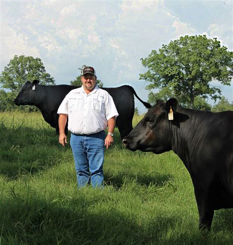 American Angus Association Announces the Ten Tennessee Breeders Who ...