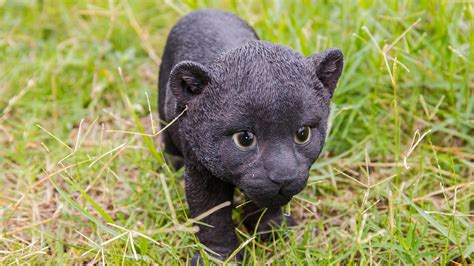 Hi- Line Gift 87696-B Black Panther Cub Statue | Walmart Canada