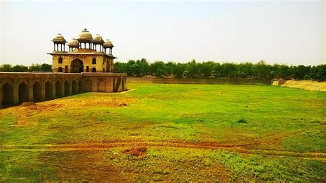 1080x2340px | free download | HD wallpaper: grass, tree, narnaul, jal ...