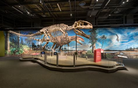 The Ultimate Dinosaurs Exhibit at Frost Science Miami | The Miami Guide