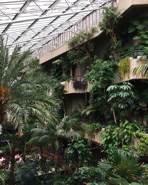 Barbican Conservatory: London's Beautiful Indoor Rainforest