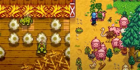 Stardew Valley: Every Animal, Ranked