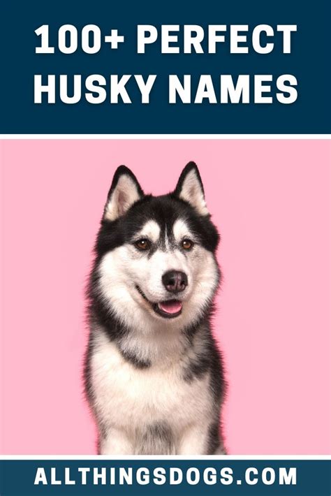 Husky Names in 2020 | Husky names, Husky, Dog names