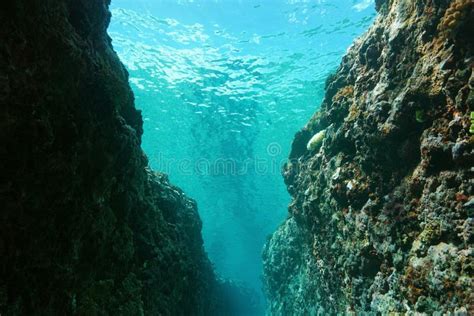 Underwater Crevasse in Outer Reef Pacific Ocean Stock Photo - Image of ...