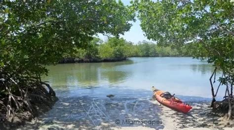 Kayaking at Oleta River