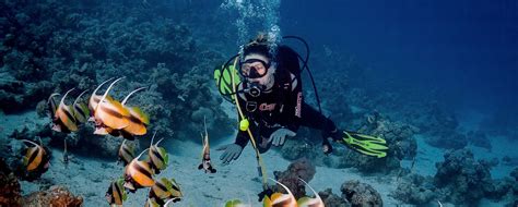 Diving in Hurghada - Hurghada Diving - Diving Hurghada