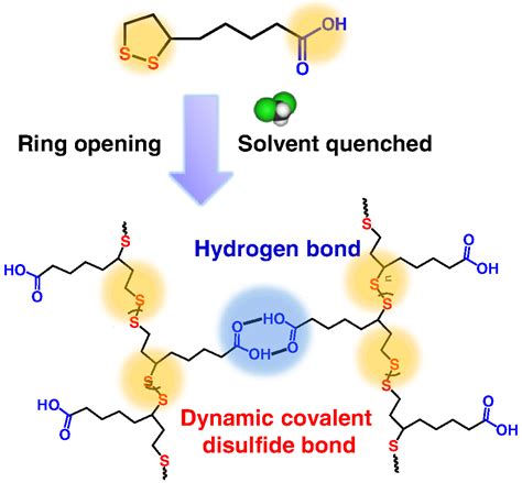 A Novel Dynamic Polymer Synthesis via Chlorinated Solvent Quenched ...