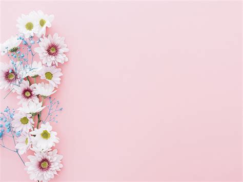 363 Ppt Background Of Flowers Pics - MyWeb