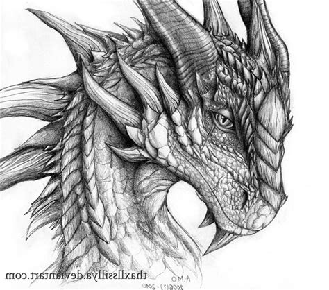 Simple dragon sketch drawing - storagegola