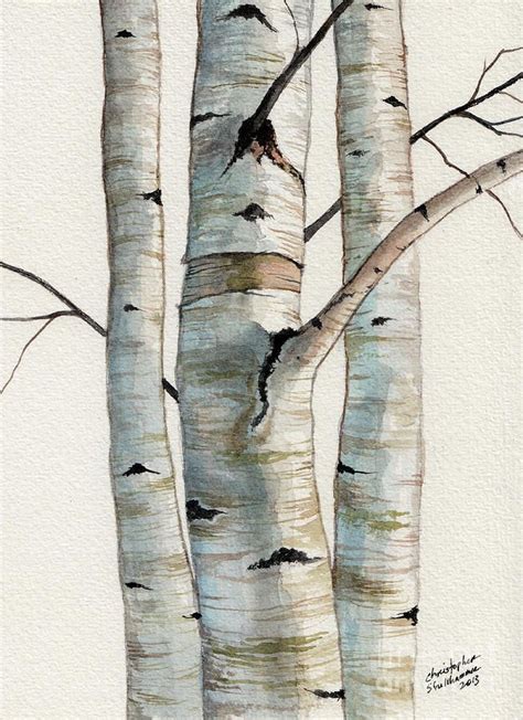 Three Birch Trees Painting by Christopher Shellhammer | Birch tree art ...