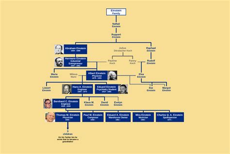 Family Tree of Albert Einstein : r/UsefulCharts