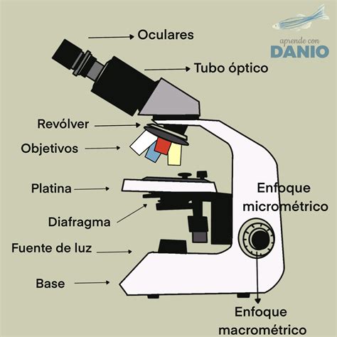 Te explicamos todo que necesitas para adentrarte en el maravilloso ...