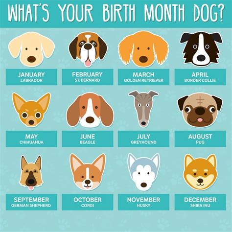 Let's have a little fun. What's your birth month dog? | Dog birth ...