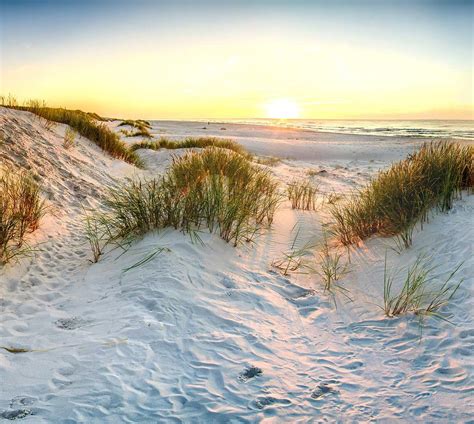 Recipe for a dune: Sand, wind, water, plants | College of Science ...