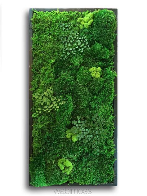 Moss Wall Art 36x18 - WabiMoss