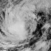 Category:Typhoon Molave (2020) - Wikimedia Commons