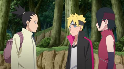 Watch Boruto: Naruto Next Generations Episode 230 Online - A Wish ...