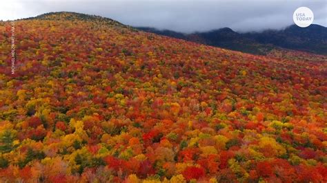 Breathtaking fall foliage colors line trees throughout New Hampshire