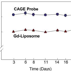 Liposome size and stability over a period of 18 days. Data are shown ...