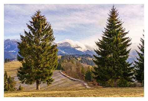 Hiking in the Carpathian Mountains: December edition on Behance