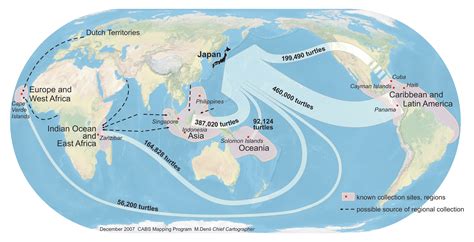 Printed Maps — The State of the World's Sea Turtles | SWOT