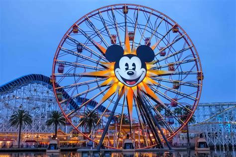 Mickey's Fun Wheel Ride: Things You Need to Know