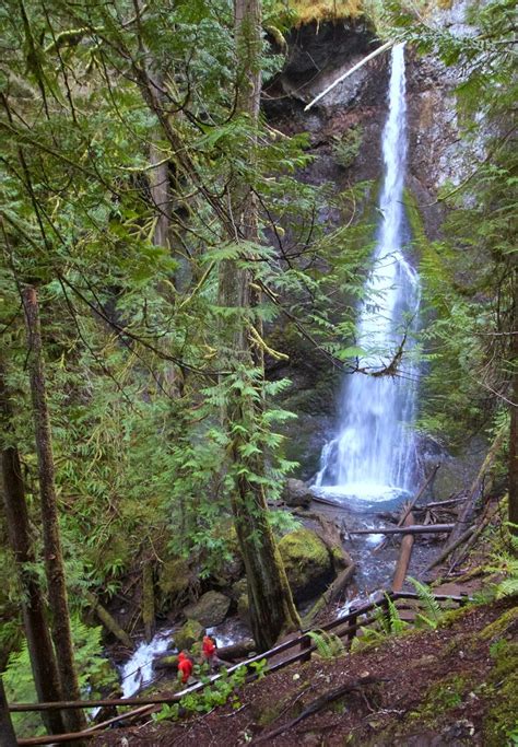 Lake Crescent hikes can help you recover from winter | The Seattle Times