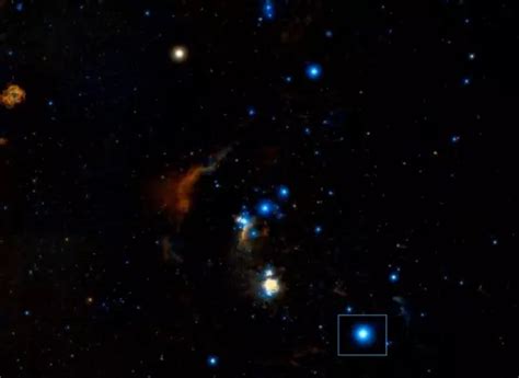 Rigel (Beta Orionis) Facts: Size, Mass, Luminosity, Name, Constellation ...