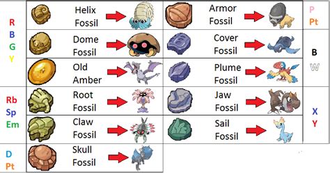 Claw Fossil Vs Root Fossil - ROOTSC