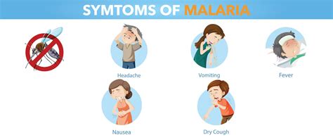 Unveiling the Malaria Mystery: Causes, Symptoms & Prevention