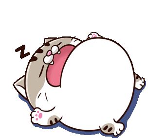 Ami Fat Cat GIF - Ami FatCat Sleeping - Discover & Share GIFs