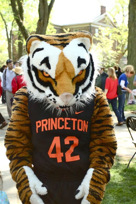 Princeton Tigers mascot | College Mascots: Ivy League | Pinterest | Tigers