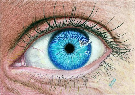 realistic eye drawing in color - Google Search | Eye drawing, Realistic ...