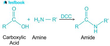 Reactions of amines: Learn types, differences, reagents, uses