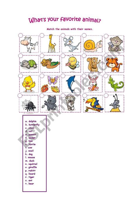 what is your favourite animal? - ESL worksheet by snmmyssr