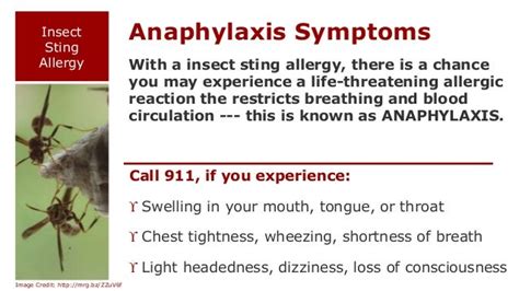 Insect Sting Allergy