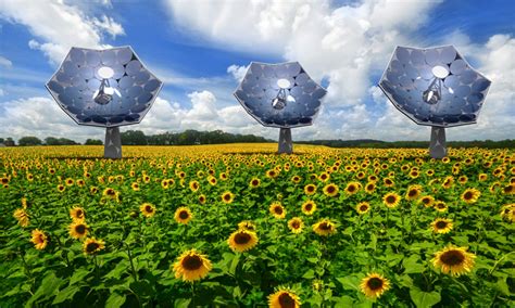 Projekt Sunflower: Solarenergie voll ausgenutzt - Energieleben