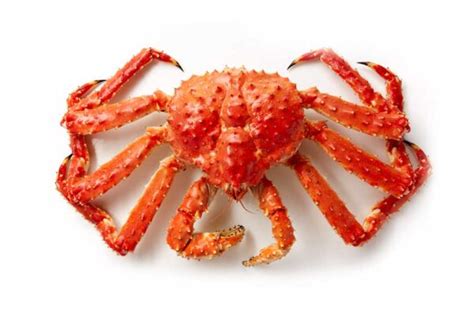 King Crab | Alaska Seafood Marketing Institute