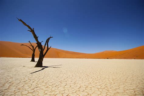 Sossusvlei salt pan and the red sand dunes of Namib Desert | Namib ...