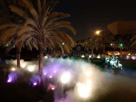 Park at night with fog stock image. Image of night, riyadh - 161450283