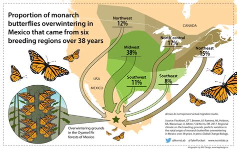 Monarch Butterfly Migration Mexico Map - Crissy Christine