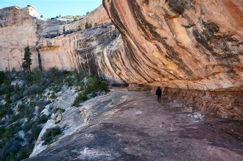 Natural Bridges National Monument, USA