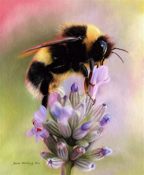 Bumble Bee Painting by Sarah Stribbling