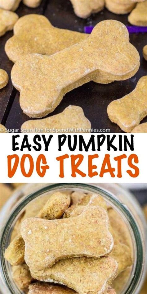 Pumpkin Dog Treat Recipe - Spend With Pennies