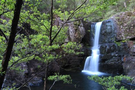 awildland: Gloucester Falls - Barrington Tops National Park