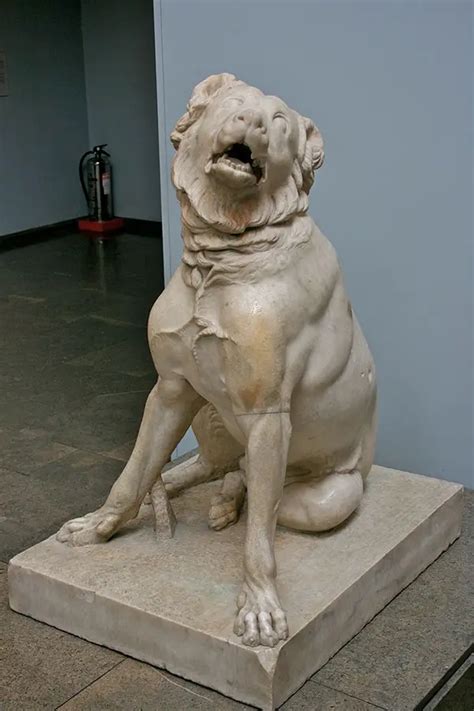 Roman Pets - History for kids