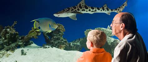 Atlanta Aquarium Package - Wingate By Wyndham Atlanta/Six Flags Austell