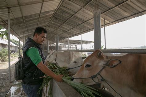 SATU Indonesia Awards Astra ajak anak muda minati sektor agribisnis ...