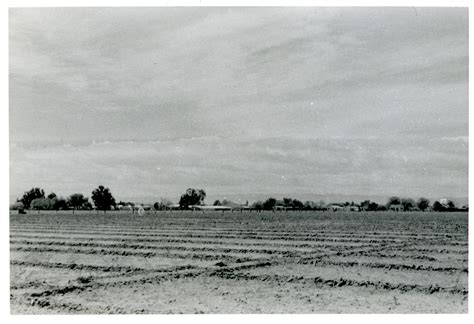 Farm fields, location unknown, 1940s | The Digital Collections of the ...